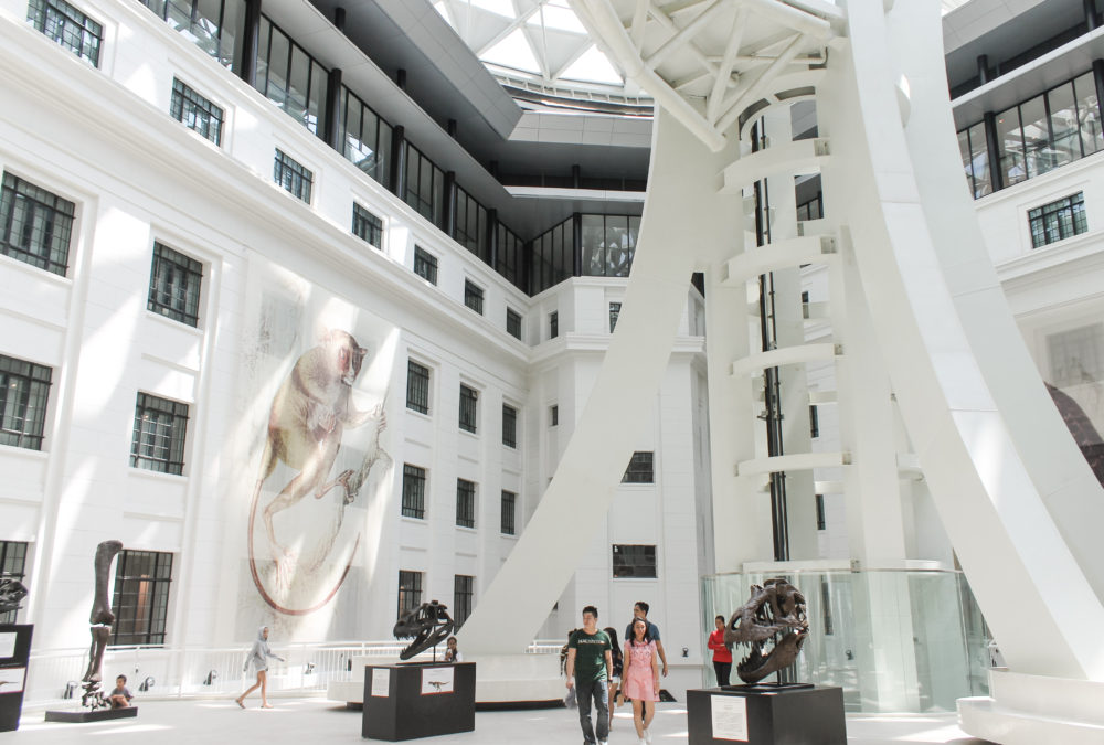 5 Reasons Why You Should Visit National Museum Of Natural History in